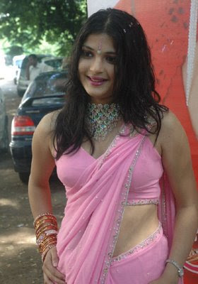 Bollywood Celebrities Pictures on South Indian Actress  Celebrity Women In Pink Saree