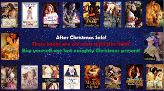 http://www.stormynightpublications.com/after-christmas-sale/