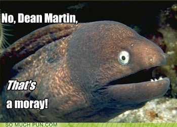 That's A Moray