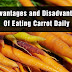5 Advantages and Disadvantages of Eating Carrot Daily | Drawbacks & Benefits of Eating Carrot Daily