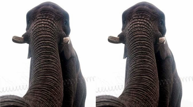  Foto narsis atau yang lebih dikenal dengan foto selfie awalnya mulai terkenal di tahun  10 Foto Selfie Paling Populer Di Dunia