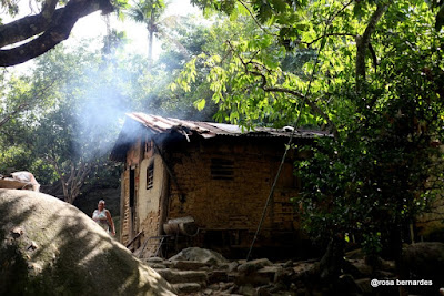 rosa bernardes, foto, quilombo