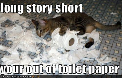 photo of cat ripping apart a roll of toilet paper