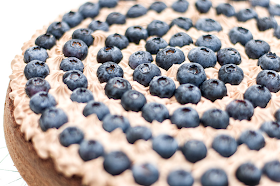 Chocolate blueberry cake close up