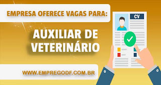 Auxiliar de veterinário