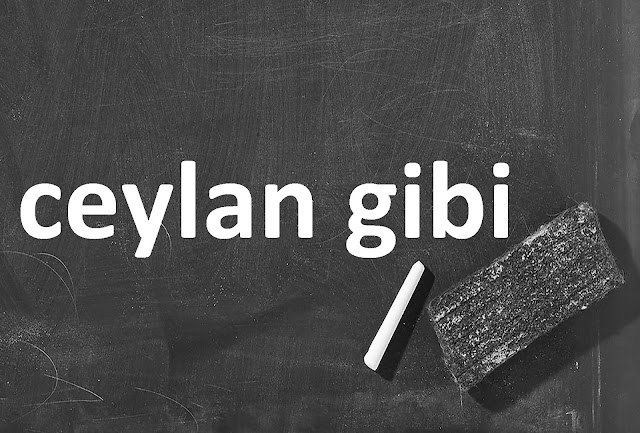 ceylan gibi