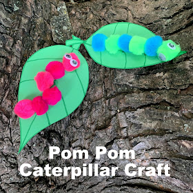 Pom Pom Caterpillar Craft