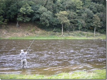 Tweed 019