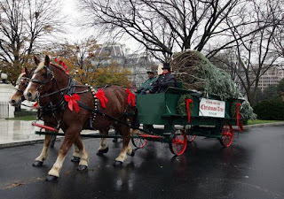 Laura Bush White House Christmas Tree PODCAST VIDEO PHOTO ESSAY