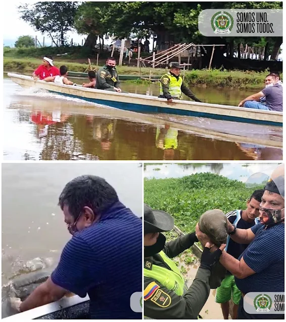 hoyennoticia.com, Rescatan manatí hembra recién nacida en Aguachica