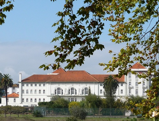 curia - palacio