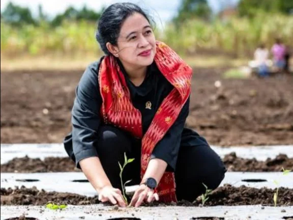 Tanggapi Isu Medsos, Relawan di Jateng Yakin Puan Kerja Tanpa Pencitraan