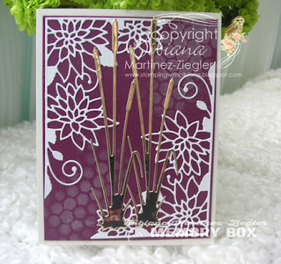 cattails card front