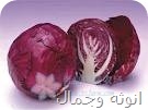 الكرنب الاحمر وفوائده على البشره