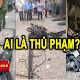 Ai đứng sau vụ N.ổ trụ sở Công an ở Quận Tân Bình Thành Phố Hồ Chí Minh?