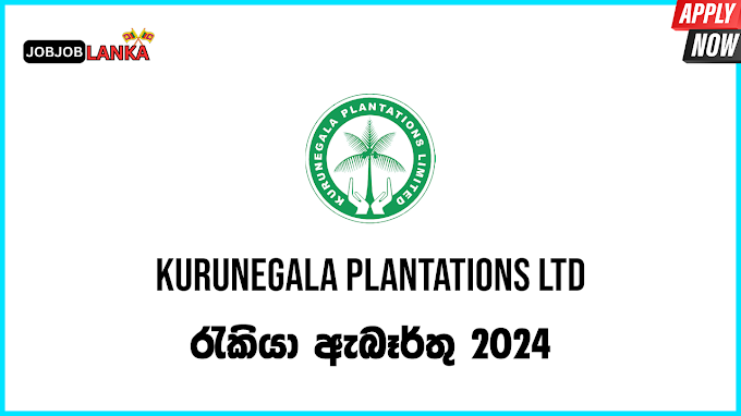 Management Assistant Vacancies 2024 At Kurunegala Plantations Ltd