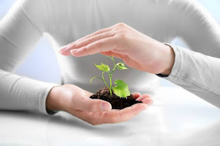 AGRICULTURAL INSURANCE POLICY IN INDIA: PROBLEMS AND PROSPECTS