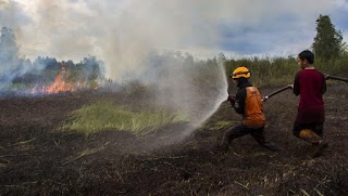 Mengungkap Ancaman Kebakaran Hutan dan Lahan (Karhutla) di Indonesia