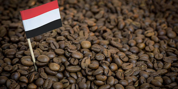 The Delight of Yemen Coffee, which was Introduced by Sufis and Its Fate Now