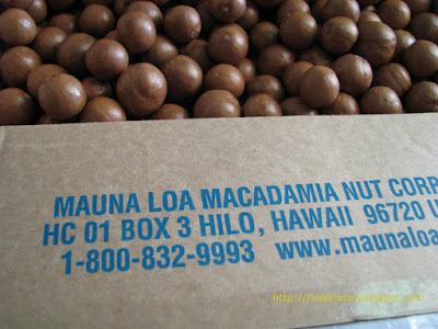 Macadamia Integrifolia Nuts Malaysia