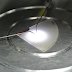 Phosphor-free InGaN LEDs emit white light