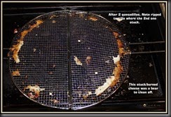 Quesadilla Grill Basket-T3i_3095