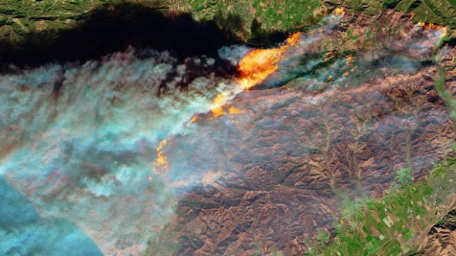 Kebakaran Thomas California Menjadi Yang Terbesar Dalam Sejarah Negara