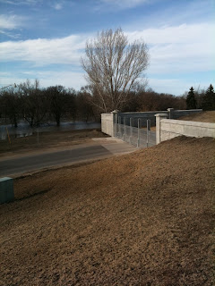 river side of the dike on Rivershore Drive, April 2013