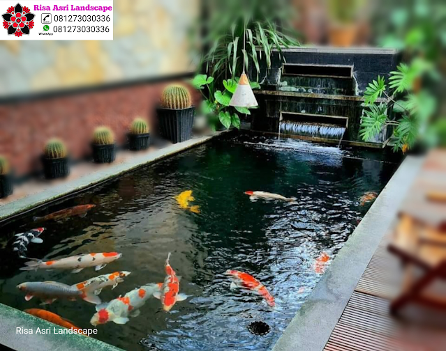 Risa Asri Landscape - Kolam Minimalis, Natural Koi Pond, Kolam Alami, Kolam Air Terjun/Mancur, Kolam Hias Batu Batuan