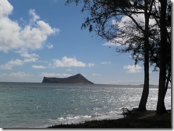 hawaii day six 01
