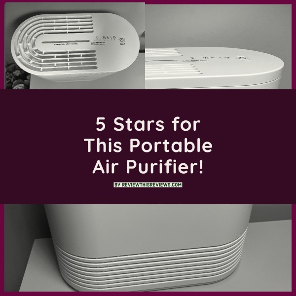 Portable Air Purifier - Review