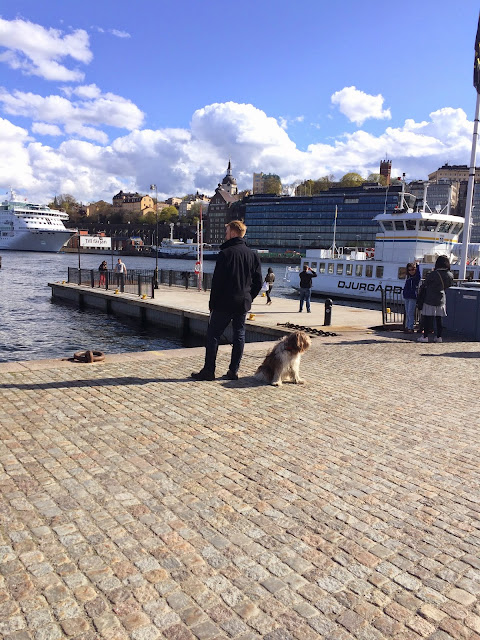 man with dog stockholm