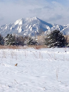 Mountain view in the winter with snow