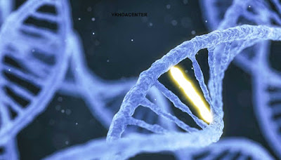 Bệnh di truyền do gene trên nhiễm sắc thể thường