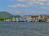 Thai Fishing Fleet