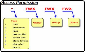 File and directory linux permission