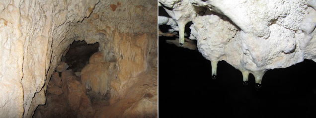 Cova de l'Olla al torrent de Sant Marc