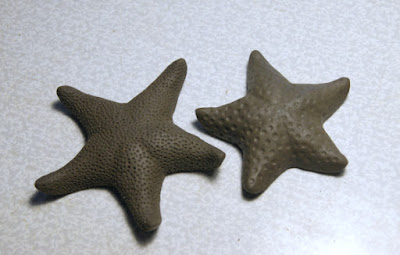 Морские звёзды, моделирование текстуры поверхности
