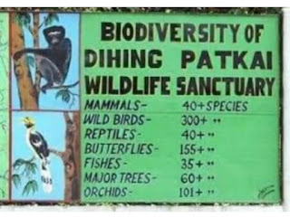 Dehing Patkai National Park animals