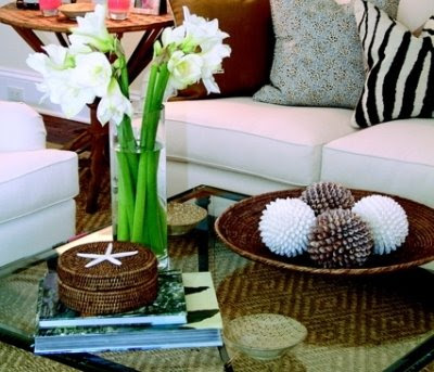 Coffee Table Decorating Ideas