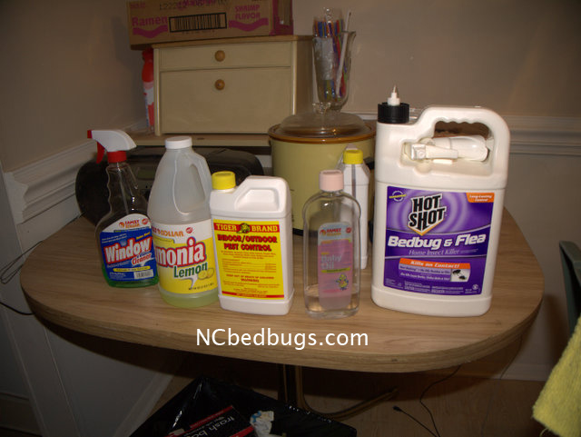 Bed bugs were often treated with too much chemicals or pesticides | NC ...