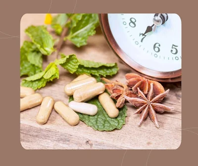Amur Cork Tree Bark Benefits