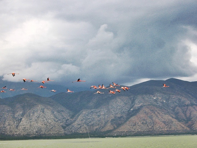 Lago Enriquillo 