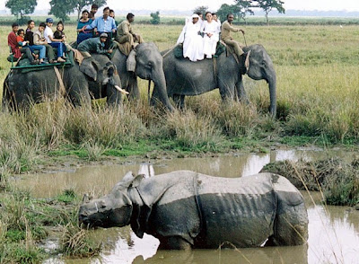 Wildlife India Tours