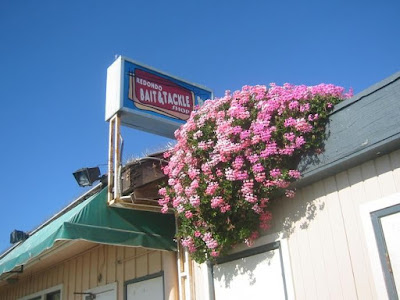 redondo beach coffee and bait restaurant OC