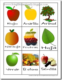 Click to download Spanish Vocabulary