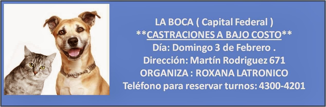 MIS CAMPAÑAS DE CASTRACION EN LA BOCA