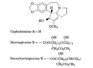 Cephalotaxus alkaloids are found in the Japanese plum yews, Cephalotoxus spp. The esters, such as harringtonine and homoharringtonine, are potent antileukemic agents. The absolute configuration of the ester moiety has been determined. The α-hydroxy ester is essential for in vivo antileukemic activity.