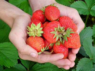 strawberry benefits