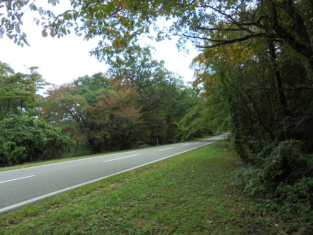 24号道路の米子大山線